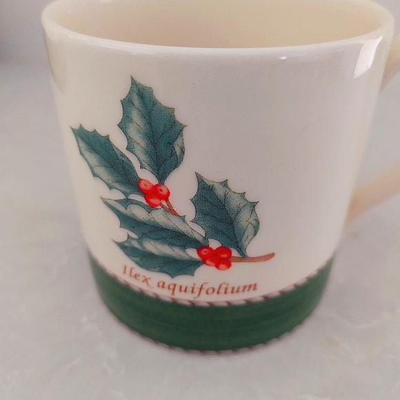 WEDGWOOD | Sarah's Garden Christmas Green Mug Crafted in England |Winter Festive - Picture 8 of 10
